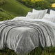 Bedding _Collection