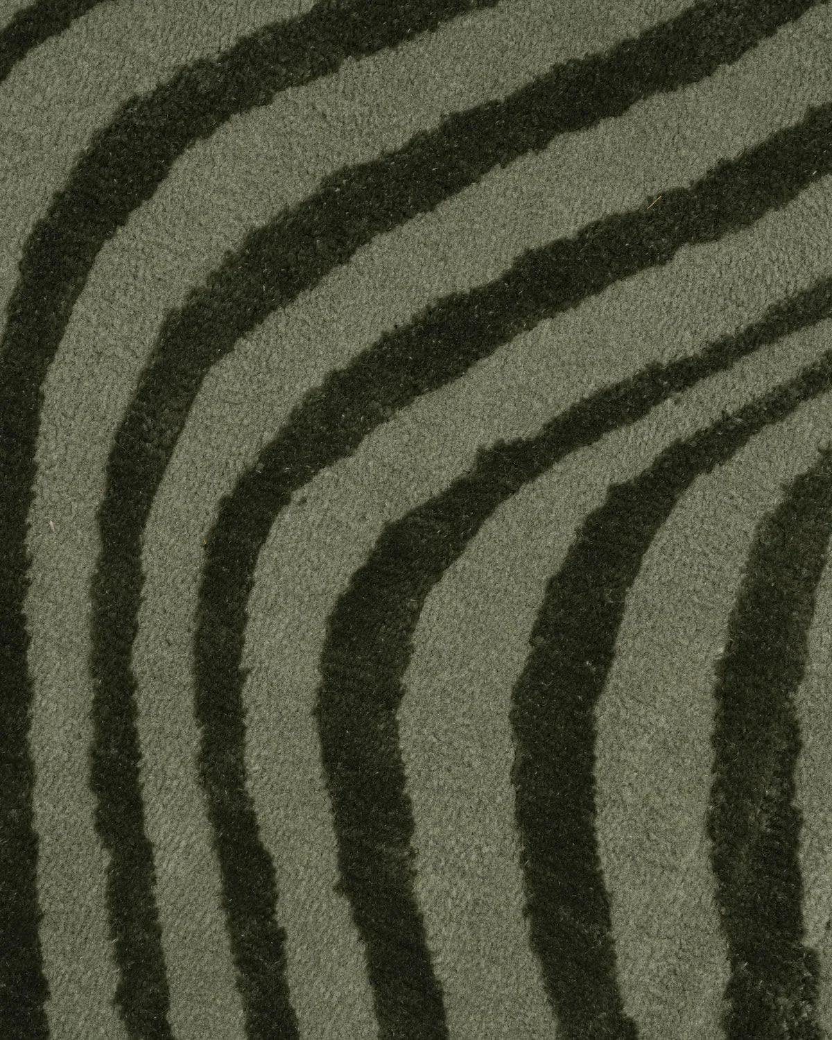 Aura Carpet | Green Zebra