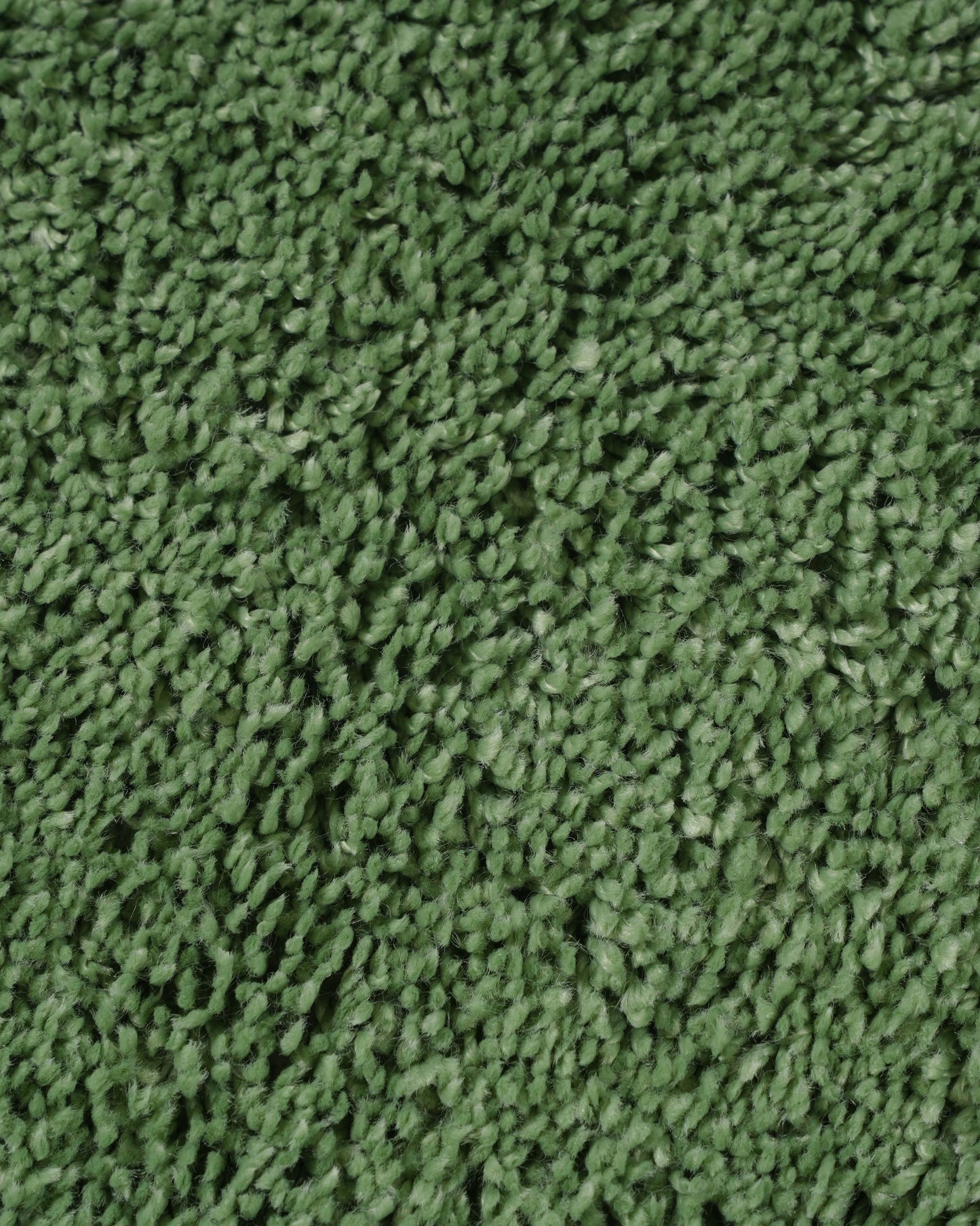 40X60 CM Shaggy Doormat | Set of 2 | Green