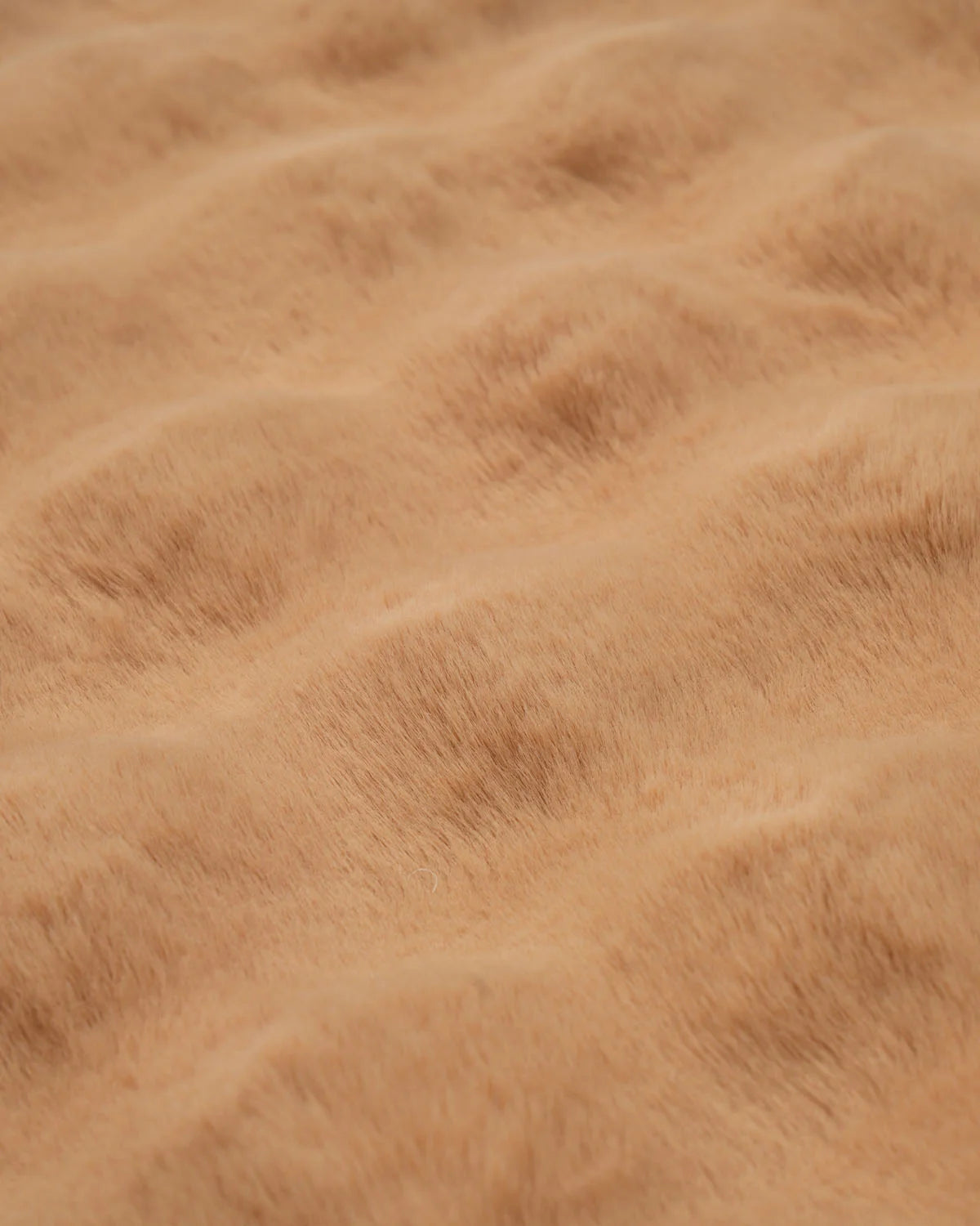 Cocoon Light Camel Carpet
