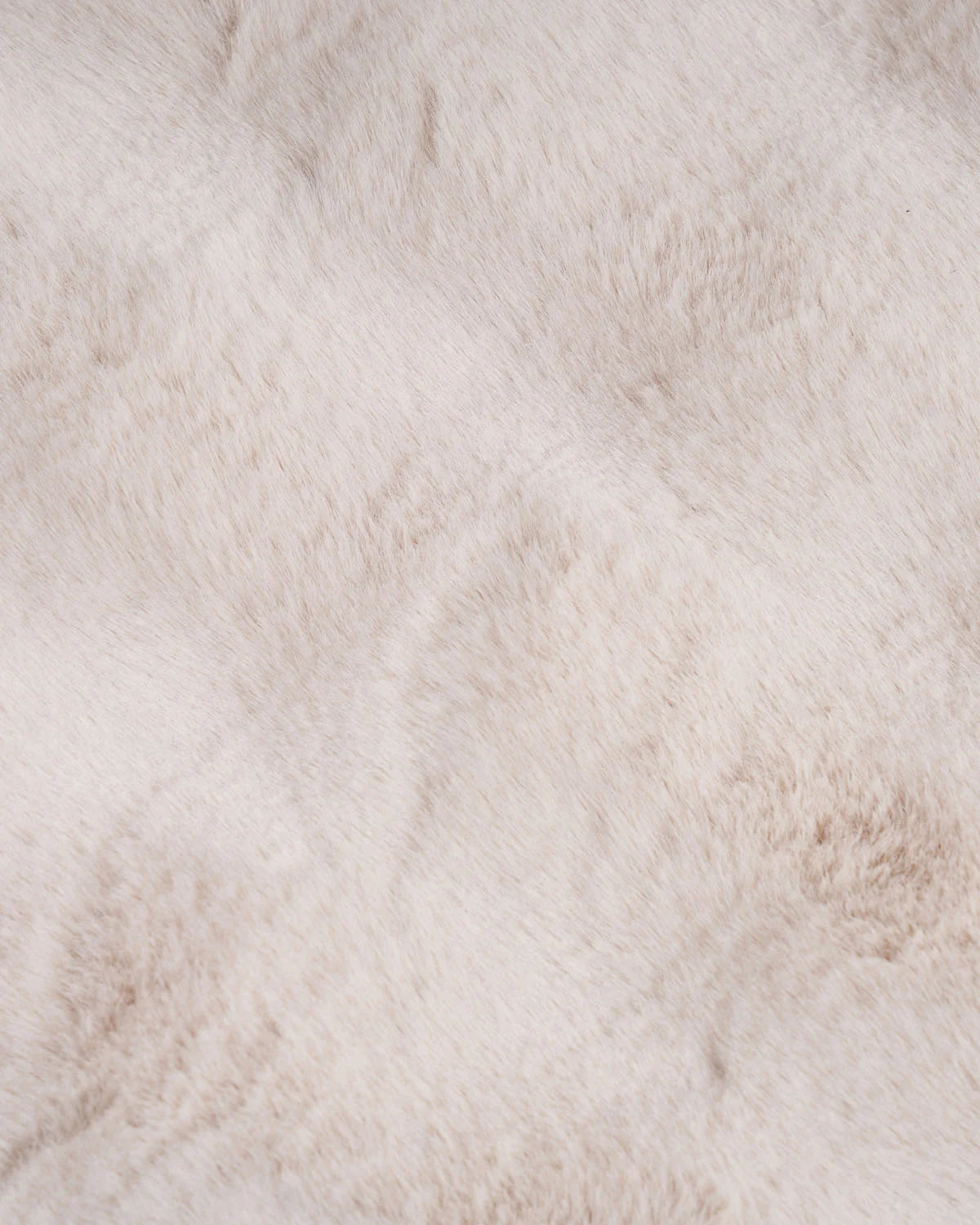 Cocoon Beige Carpet